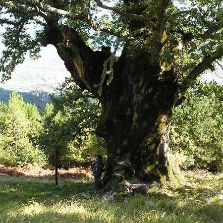 Paradiso Delle Madonie 4* Castelbuono (Sicily)